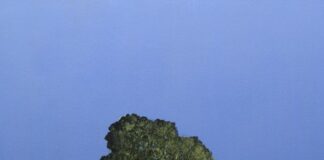 “La Pittura dell’Immaginifico” la mostra degli artisti toscani a Lucca