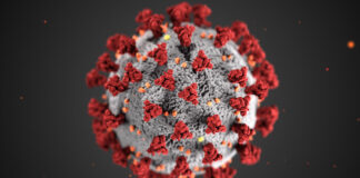 Antivirale contro il Covid-19 e future pandemie: il progetto coronavirus rosso