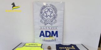 Palermo, sequestrato esemplare di “Testudo Graeca” introdotta illegalmente dalla Tunisia dogane finanza palermo