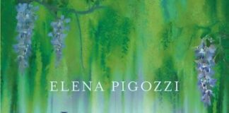 “La signora dell’acqua”, il nuovo libro di Elena Pigozzi la signora dell'aqua