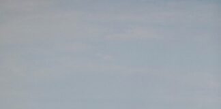 Roots, la campagna Latorre autunno-inverno 2022-2023