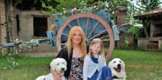 I lupi del Parco Alpi Marittime e consigli per l’estate con i quattrozampe