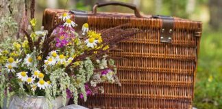 Pasqua, campagna meta preferita per il turismo fuori porta picnic