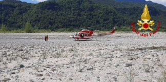 Udine, trovati dai VdF due tori scappati da un allevamento recupero tori