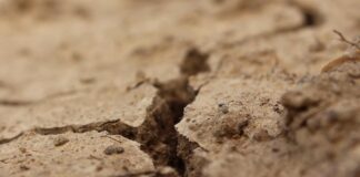 Siccità, Confagricoltura su stato di emergenza e nomina Commissario staordinario siccità