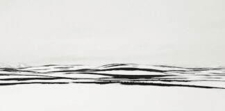 “The Dream” la mostra-evento su tematica ambientale a Venezia