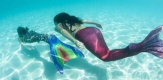 “In fondo al mar. Le Sirene vs la plastica”, laboratori allo Zoomarine zoomarine sirene