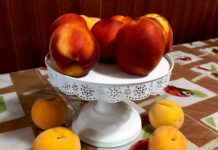 Cresce la produzione e calano i prezzi, pesche ‘regine’ dell’estate