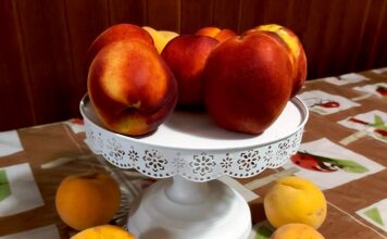 Cresce la produzione e calano i prezzi, pesche ‘regine’ dell’estate