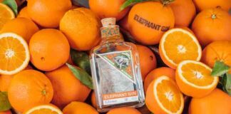 Giornata mondiale degli elefanti 2022: nasce la Elephant Gin Foundation elephant gin orange