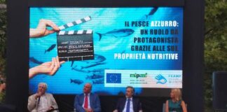Il pesce azzurro, tre weekend di show cooking e spazi informativi a Roma evento il pesce azzurro