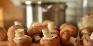 La Sagra delle Fettuccine ai funghi porcini 2022: ecco dove funghi porcini