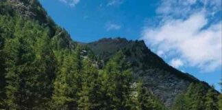 PicNic Bar in Italia: alla scoperta del progetto in Valle Argentera gerla pic-nic piemonte