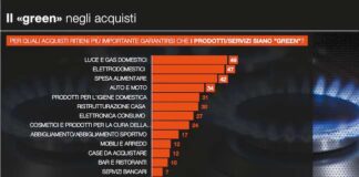 Il green degli acquisti: un approfondimento sulla sostenibilità green negli acquisti