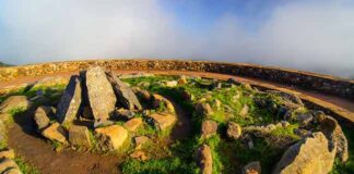 L’ambiente delle Canarie: tra biodiversità e tesori naturalistici la gomera altos de garajonay