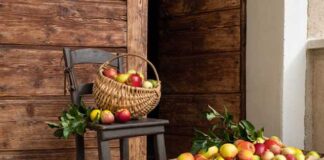 “Pomaria on the road”, festa del raccolto della mele 2022