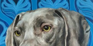 Tutto l’amore per gli animali nell’Iperrealismo Pop di Carlotta Marvasi, un nuovo punto di vista sul ritratto profondo blu carlotta marvasi