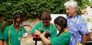 Dal 23 settembre arriva ‘Kids Vet Academy 2’, nuova serie con i piccoli veterinari