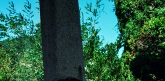 “Lo sposo sulla torta”, il nuovo singolo di Manuel Agnelli