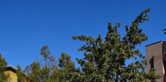 “Cavriago Land Art – Pink Line” le installazioni di Marika Ricchi a Cavriago