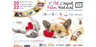 Pet Carpet Film Festival: a Cinecittà l’edizione 2022 pet carpet film festival 2022