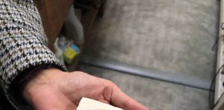 “Rendezvous” il progetto inedito dell’artista Vibeke Mascini a Milano