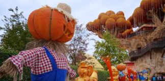 Gardaland Magic Halloween: il programma dell’edizione 2022 gardaland magic halloween