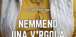 “Nemmeno una virgola”, il primo romanzo di Guido Domingo nemmeno una virgola libro