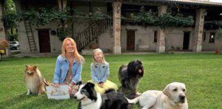 Gli asinelli sardi e il museo del mare di Milazzo in tv