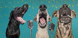 L’irriverente ironia in stile Iperrealista Pop delle opere divertenti e coinvolgenti di Cleo Ruisz ratpack cleo ruisz