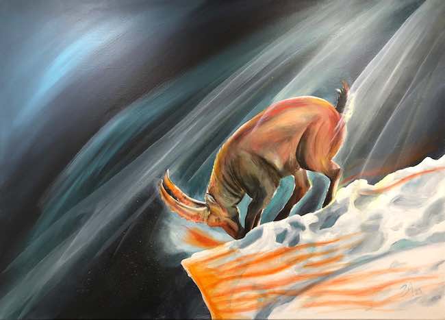 una calda giornata d'inverno andrea zannella