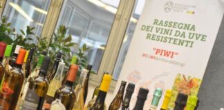 2 ^ Rassegna dei vini PIWI: domanda di iscrizione fino al 14 ottobre vini passerella