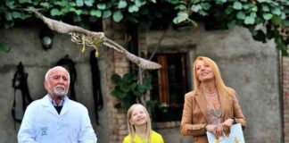 Il volo dell’astore curato dal Cras e i pasticcieri per cani in tv brambilla rapace