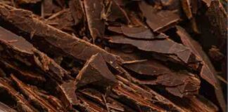 Gelato, la trilogia Crema del Mese di novembre 2022 cioccolato chuao