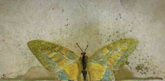 “Mariposa”, il nuovo EP di Mark Wilkinson dal 9 dicembre mariposa ep