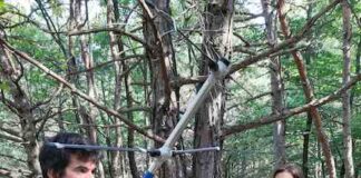 Segnali acustici e vibrazionali animali sotto la lente della ricerca ambientale monitoraggio fauna selvatica