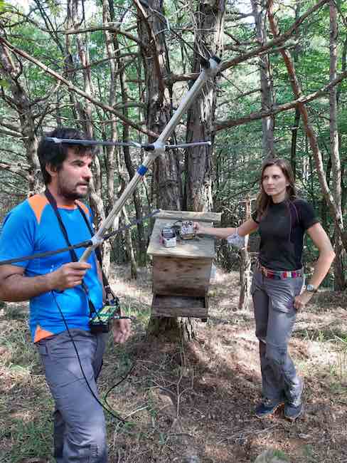 monitoraggio fauna selvatica