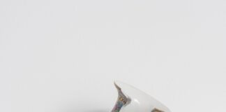 “In buone mani” tradizione e contemporaeo nella Galleria Antonio Verolino