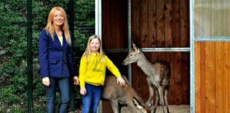 Gli animali salvati nel Cras Stella del Nord a “Dalla parte degli animali”