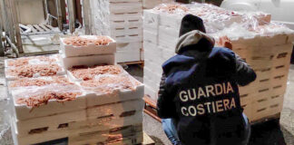 Guardia Costiera, operazione “Senza traccia”: il bilancio