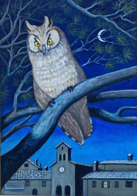 gufo comune mario marzi