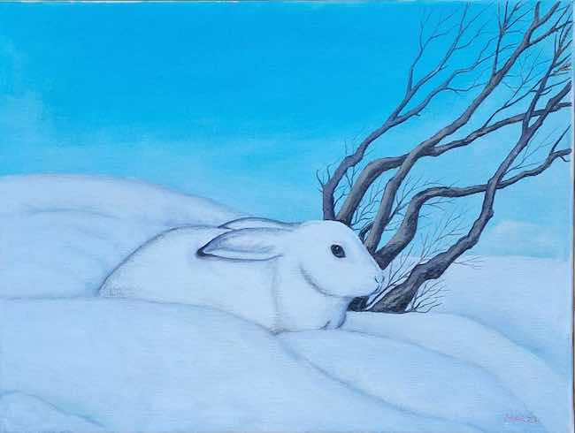 lepre artica mario marzi