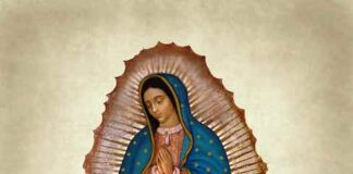 Festa della Madonna di Guadalupe, la Messa del Papa del 12 dicembre madonna di guadalupe