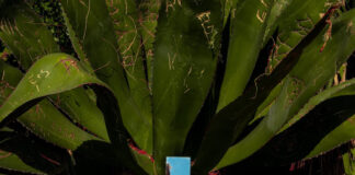 “Epta-Sette” il dialogo tra l’arte e il digitale in mostra a Milano