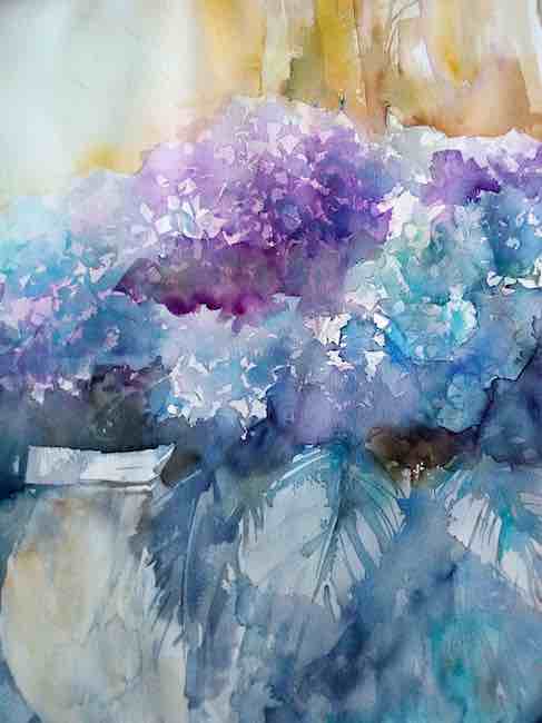 ortensie blu rosina daru