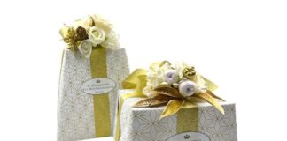 Panettoni di alta pasticceria per il Natale solidale 2022 panettoni asm