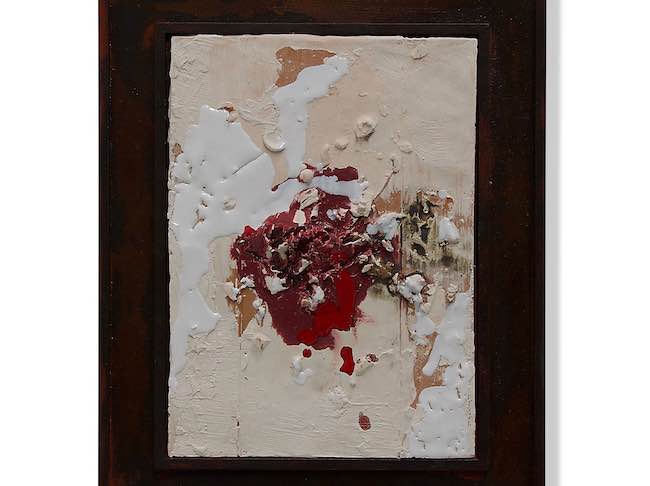 pesce natante roberta zucchi