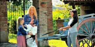 I cani diversamente speciali e il gatto mascotte di Miss Italia in tv
