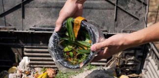 Feste natalizie, come ridurre lo spreco alimentare nella ristorazione spreco alimentare