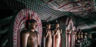 Sri Lanka: come ottenere il visto e cosa visitare sri lanka